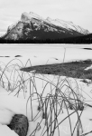 Day 71 - Mount Rundle